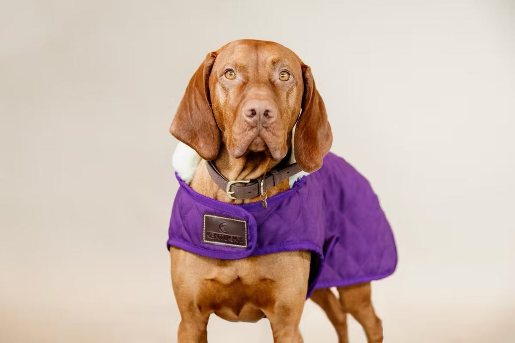 Kentucky Dog Coat Original - Løwenborg - Kentucky Dogwear