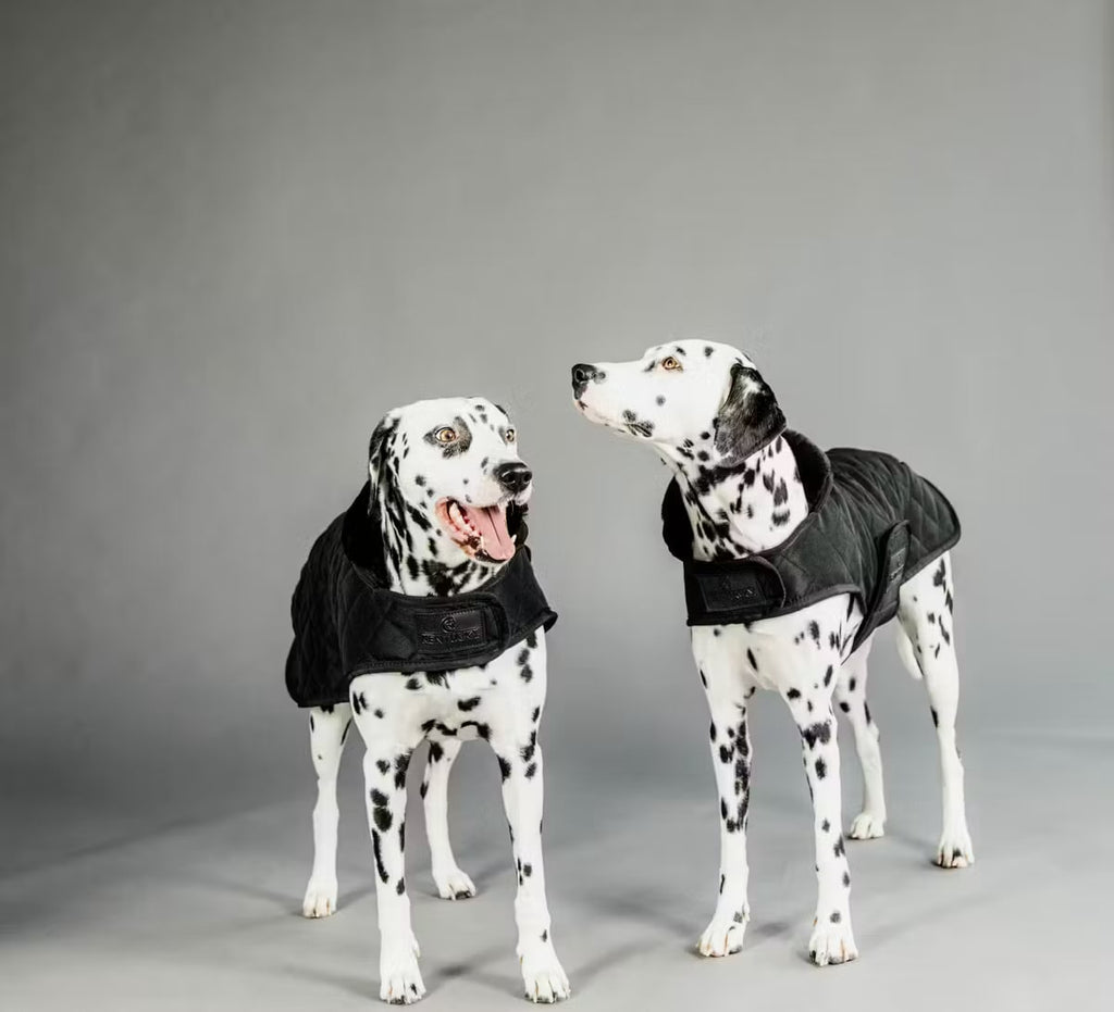 Kentucky Dog Coat Original - Løwenborg - Kentucky Dogwear