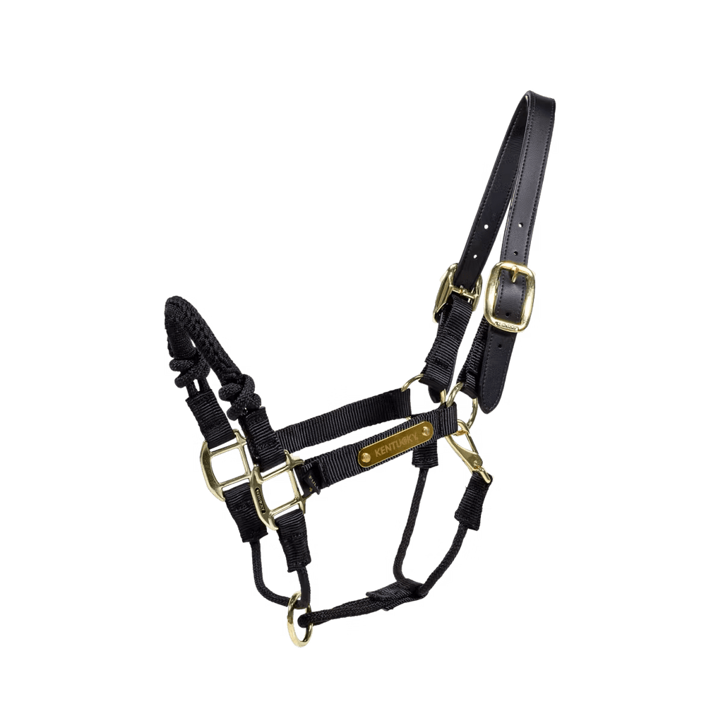 Kentucky Control Halter Nylon - Løwenborg - Kentucky Horsewear