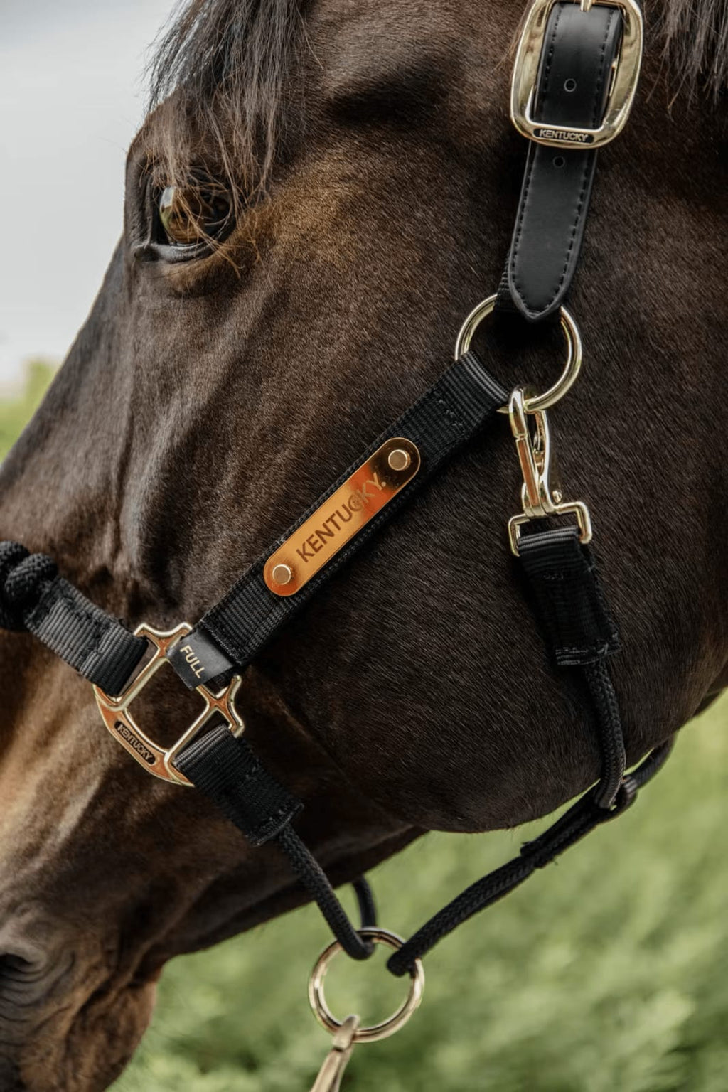 Kentucky Control Halter Nylon - Løwenborg - Kentucky Horsewear