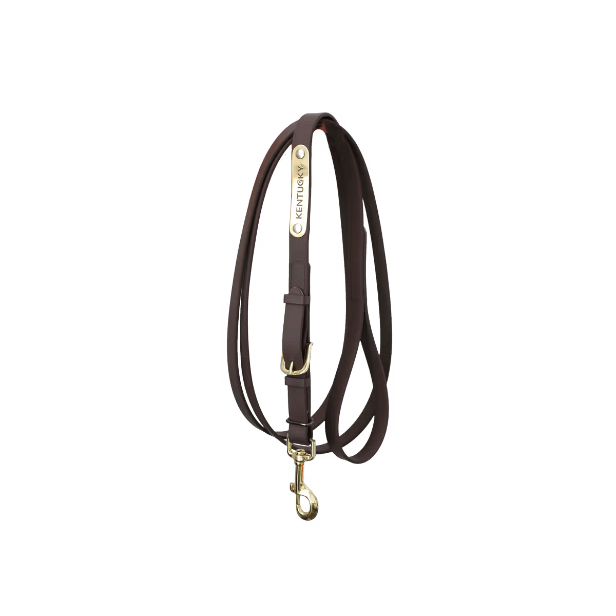 Kentucky Presentation Lead