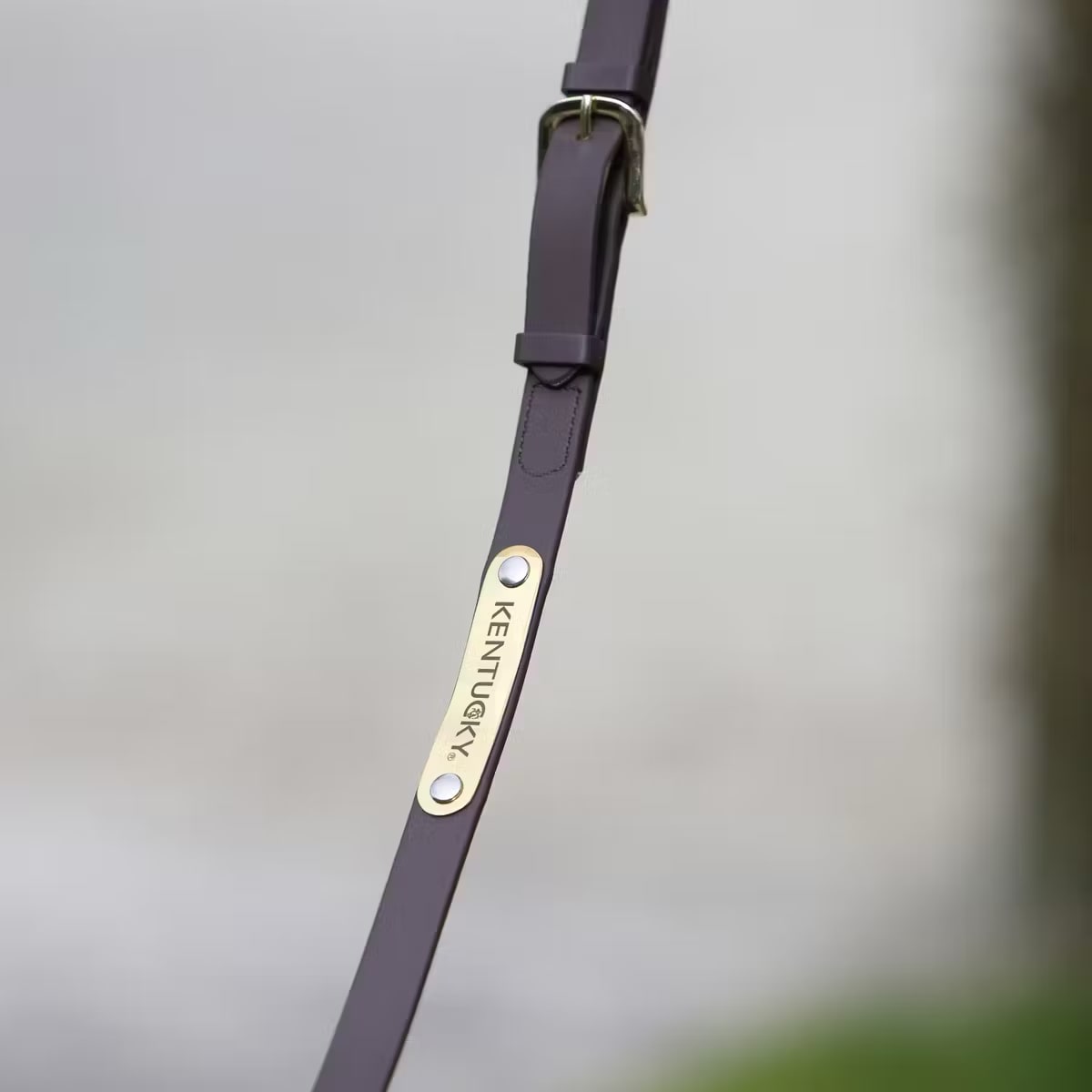 Kentucky Presentation Lead - Løwenborg - Kentucky Horsewear
