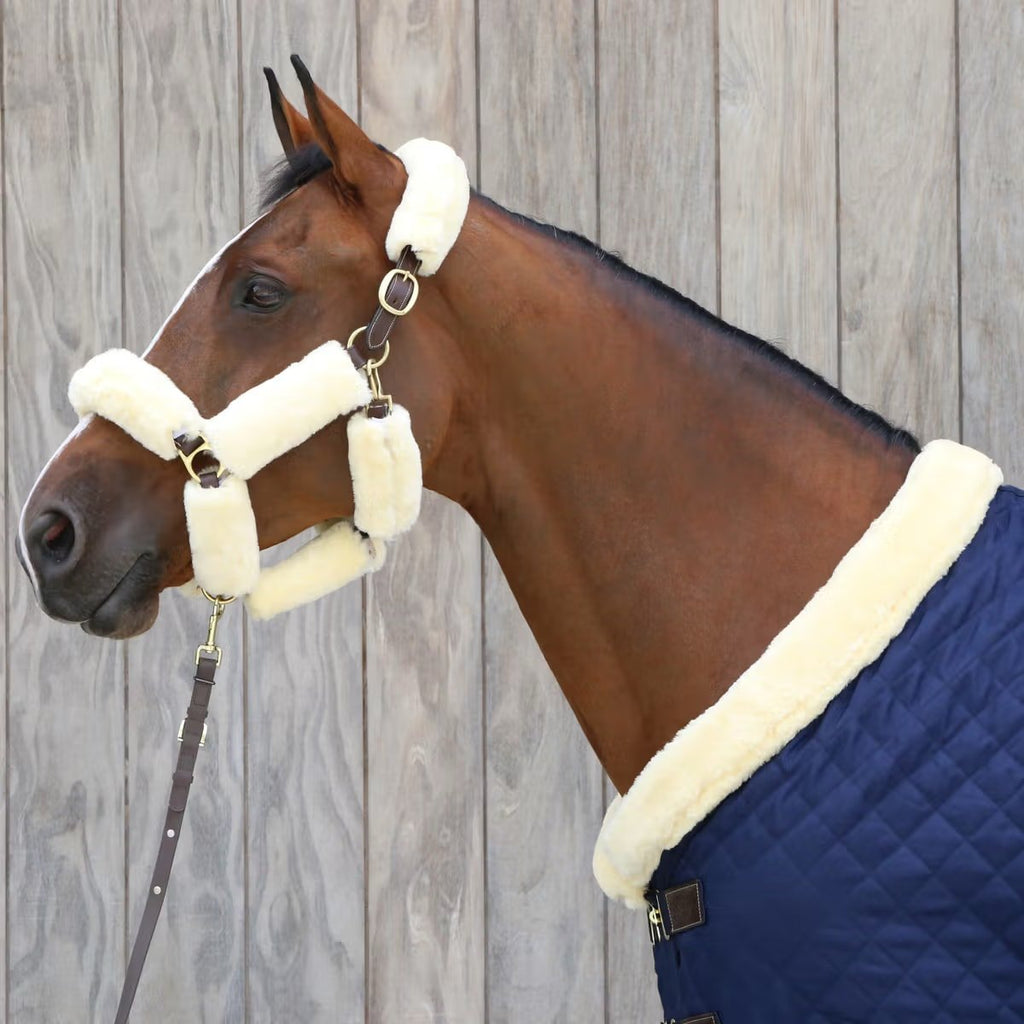 Kentucky Presentation Lead - Løwenborg - Kentucky Horsewear