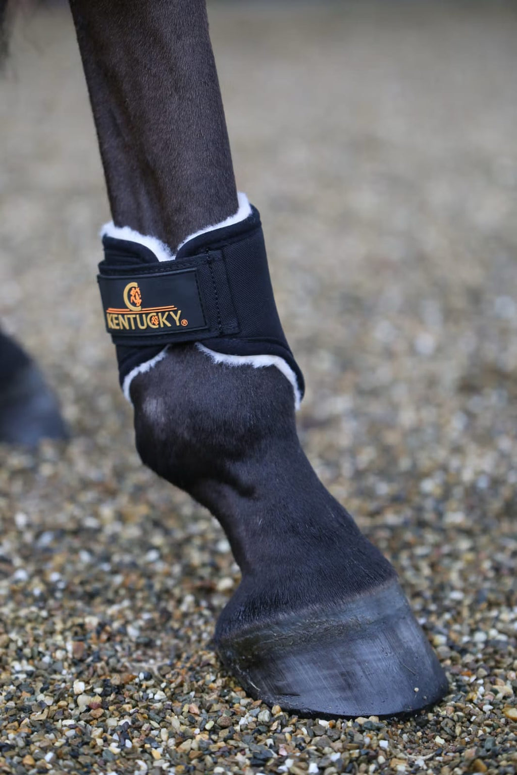 Kentucky Solimbra Turnout Boots Short Back - Løwenborg - Kentucky Horsewear