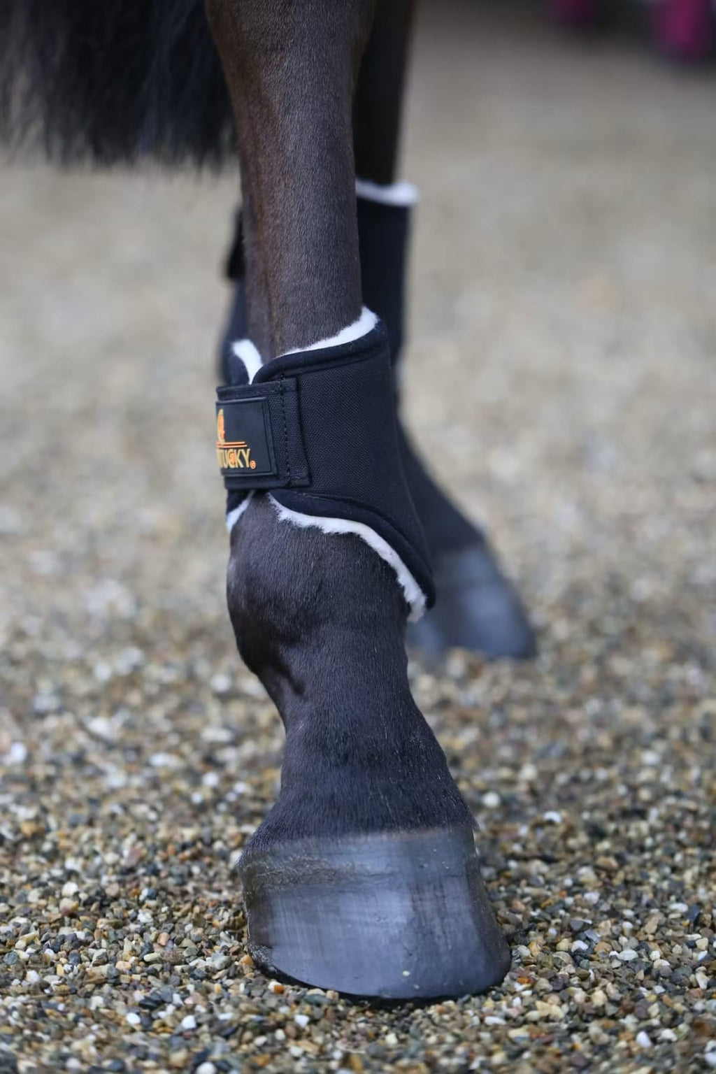 Kentucky Solimbra Turnout Boots Short Back - Løwenborg - Kentucky Horsewear