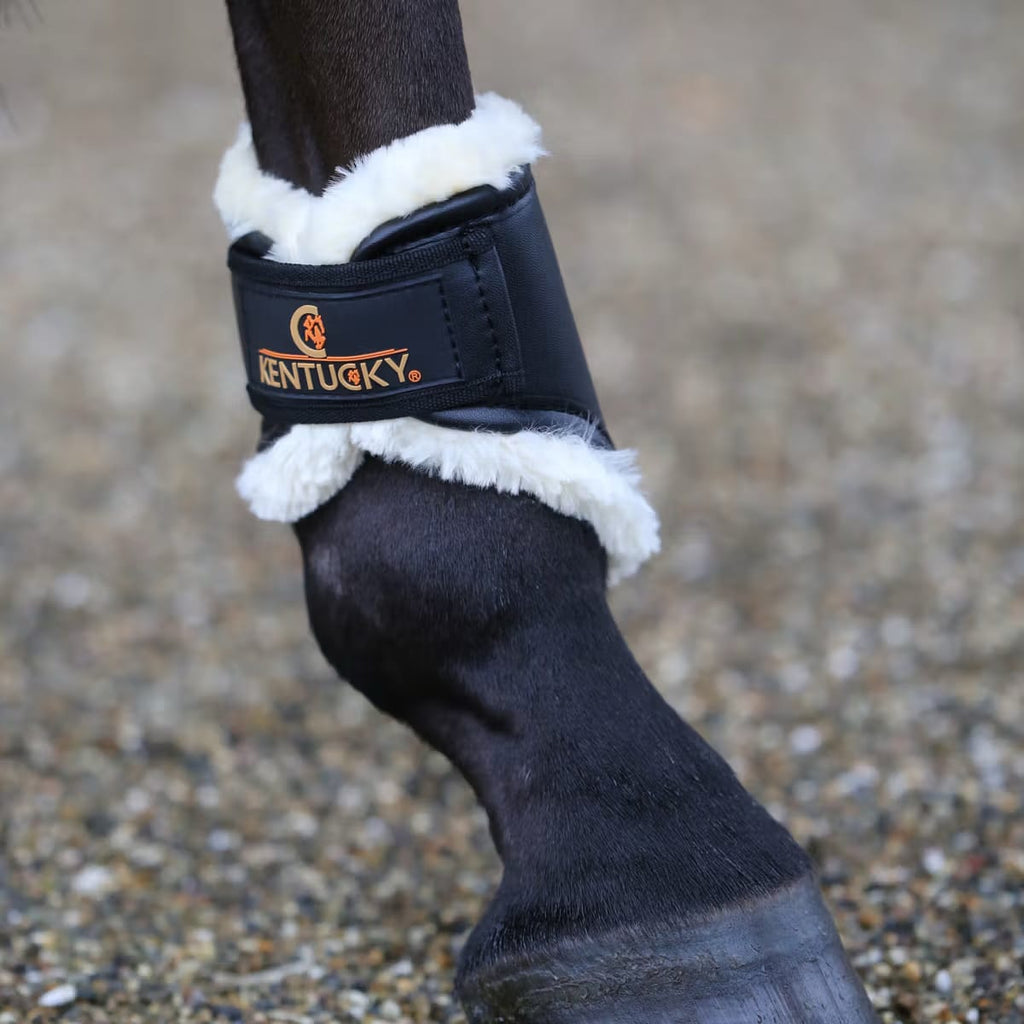 Kentucky Leather Turnout Boots Short Back - Løwenborg - Kentucky Horsewear