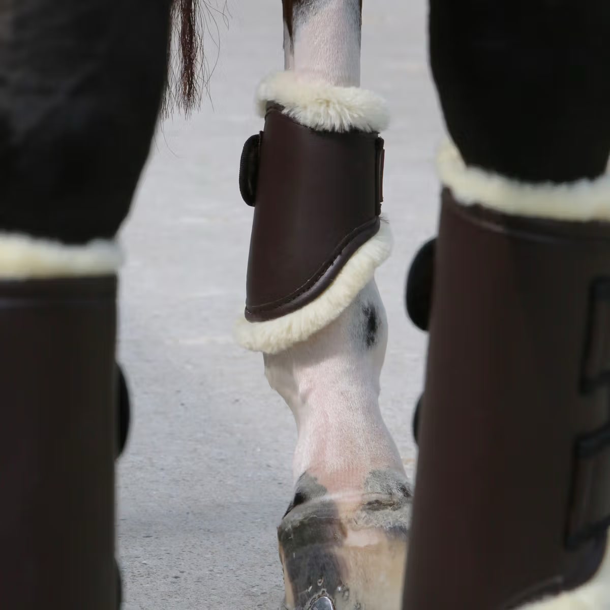 Kentucky Leather Turnout Boots Short Back - Løwenborg - Kentucky Horsewear
