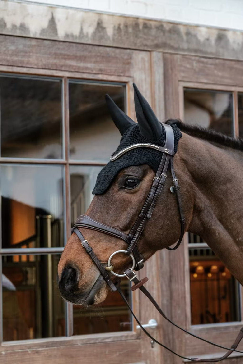 Kentucky Fly veil Wellington - Løwenborg - Kentucky Horsewear