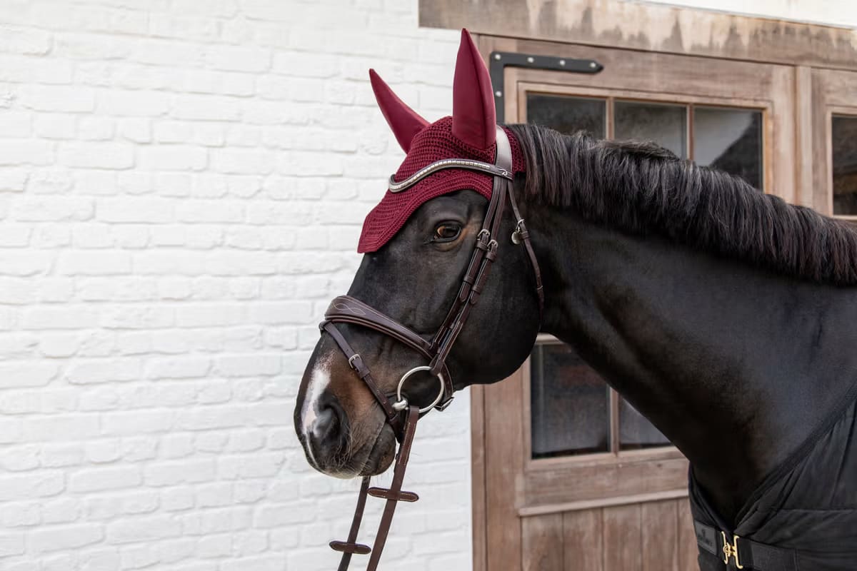 Kentucky Fly veil Wellington - Løwenborg - Kentucky Horsewear