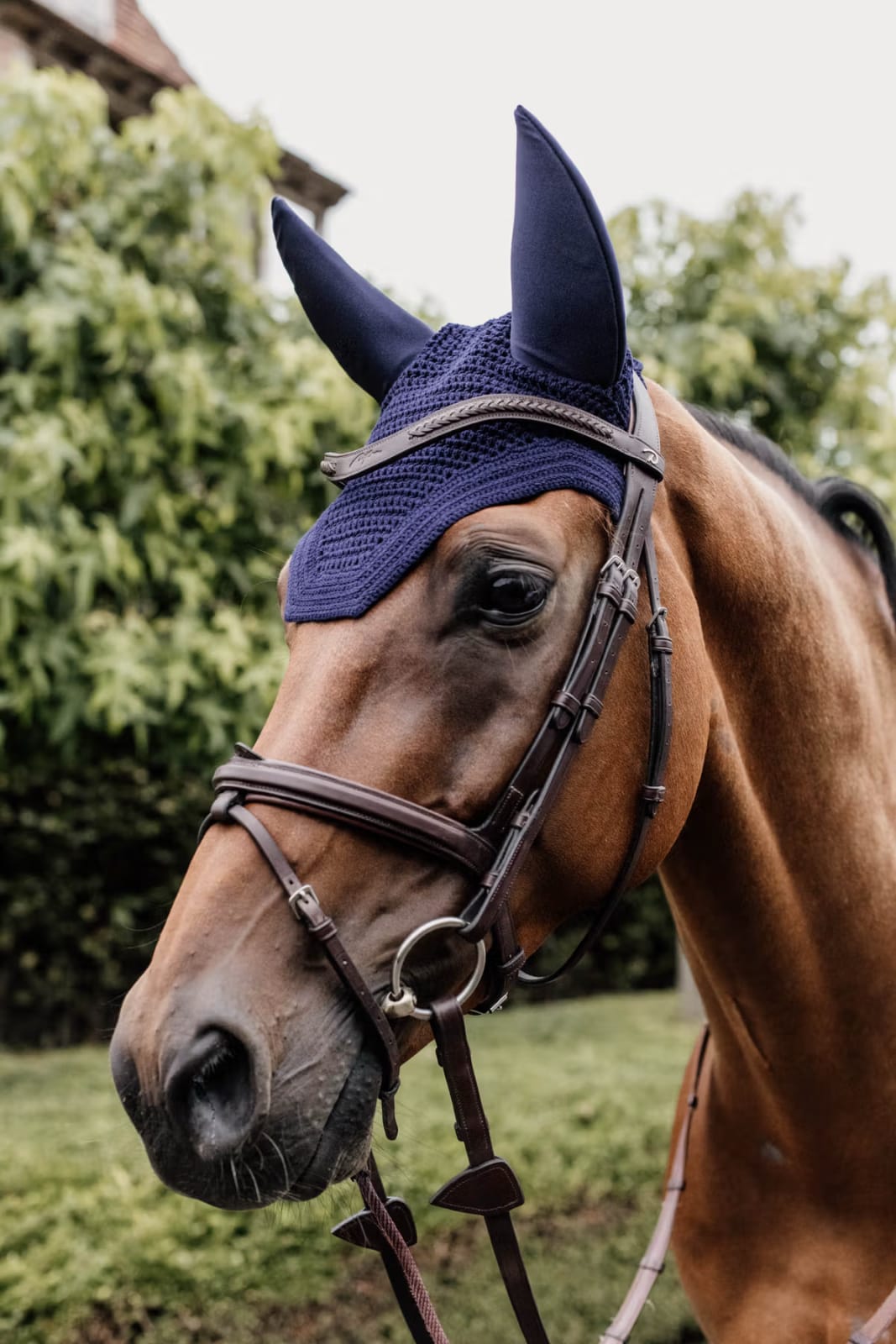 Kentucky Fly veil Wellington - Løwenborg - Kentucky Horsewear