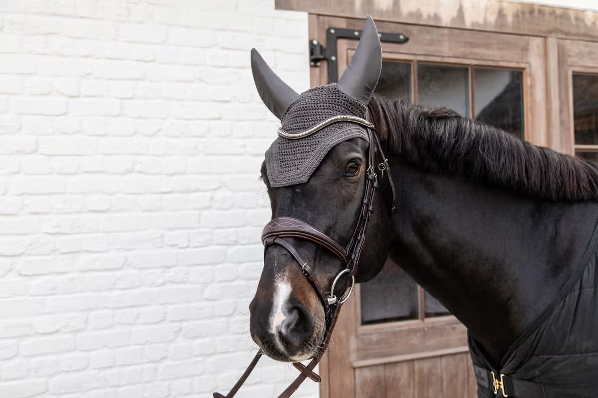 Kentucky Fly veil Wellington - Løwenborg - Kentucky Horsewear