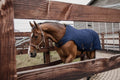 Kentucky Walker Rug - Løwenborg - Kentucky Horsewear