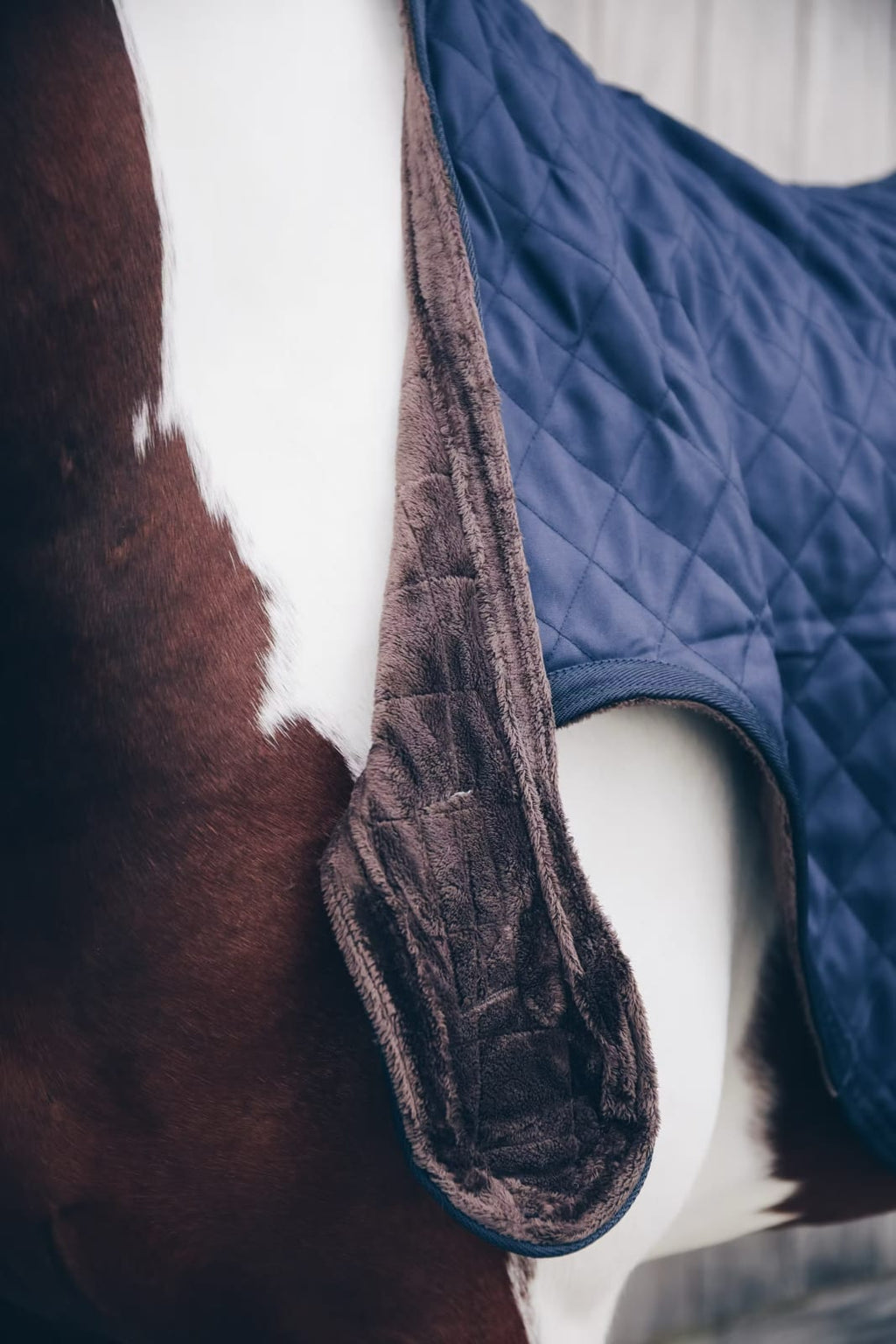 Kentucky Walker Rug - Løwenborg - Kentucky Horsewear