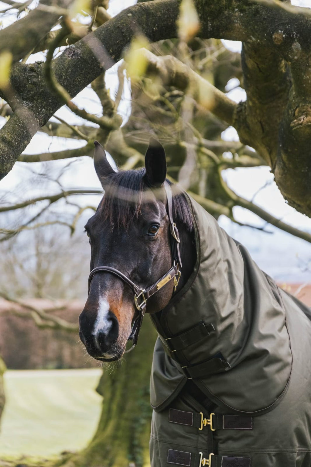 Kentucky Neck All Weather Waterproof Pro - Løwenborg - Kentucky Horsewear