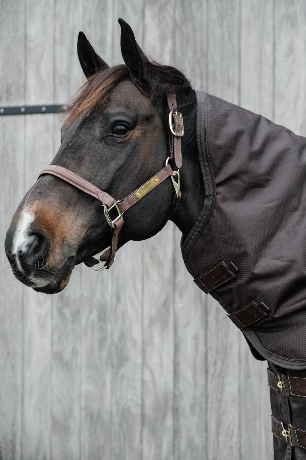 Kentucky Neck All Weather Waterproof Pro - Løwenborg - Kentucky Horsewear
