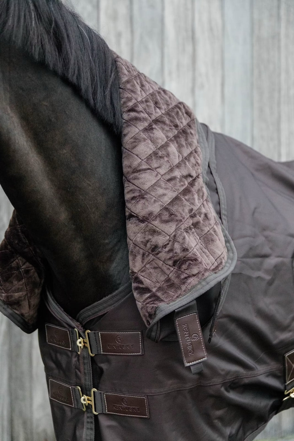 Kentucky Neck All Weather Waterproof Pro - Løwenborg - Kentucky Horsewear