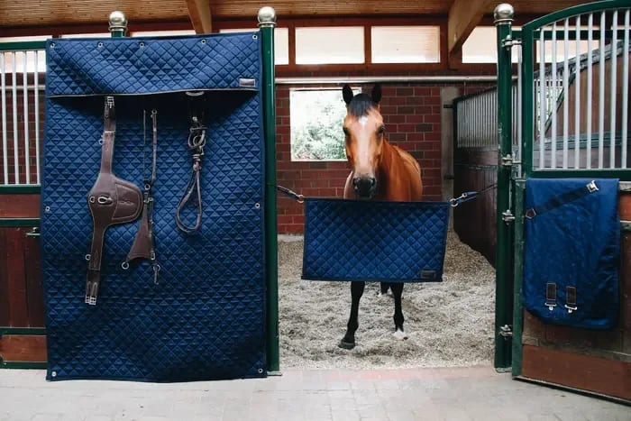 Kentucky Stable Guard - Løwenborg - Kentucky Horsewear