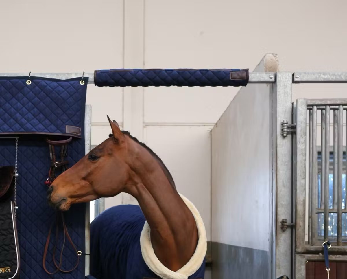 Kentucky Head Protector - Løwenborg - Kentucky Horsewear