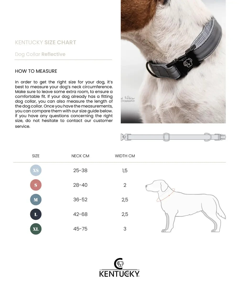 Kentucky Dog Collar Reflective - Løwenborg - Kentucky Dogwear