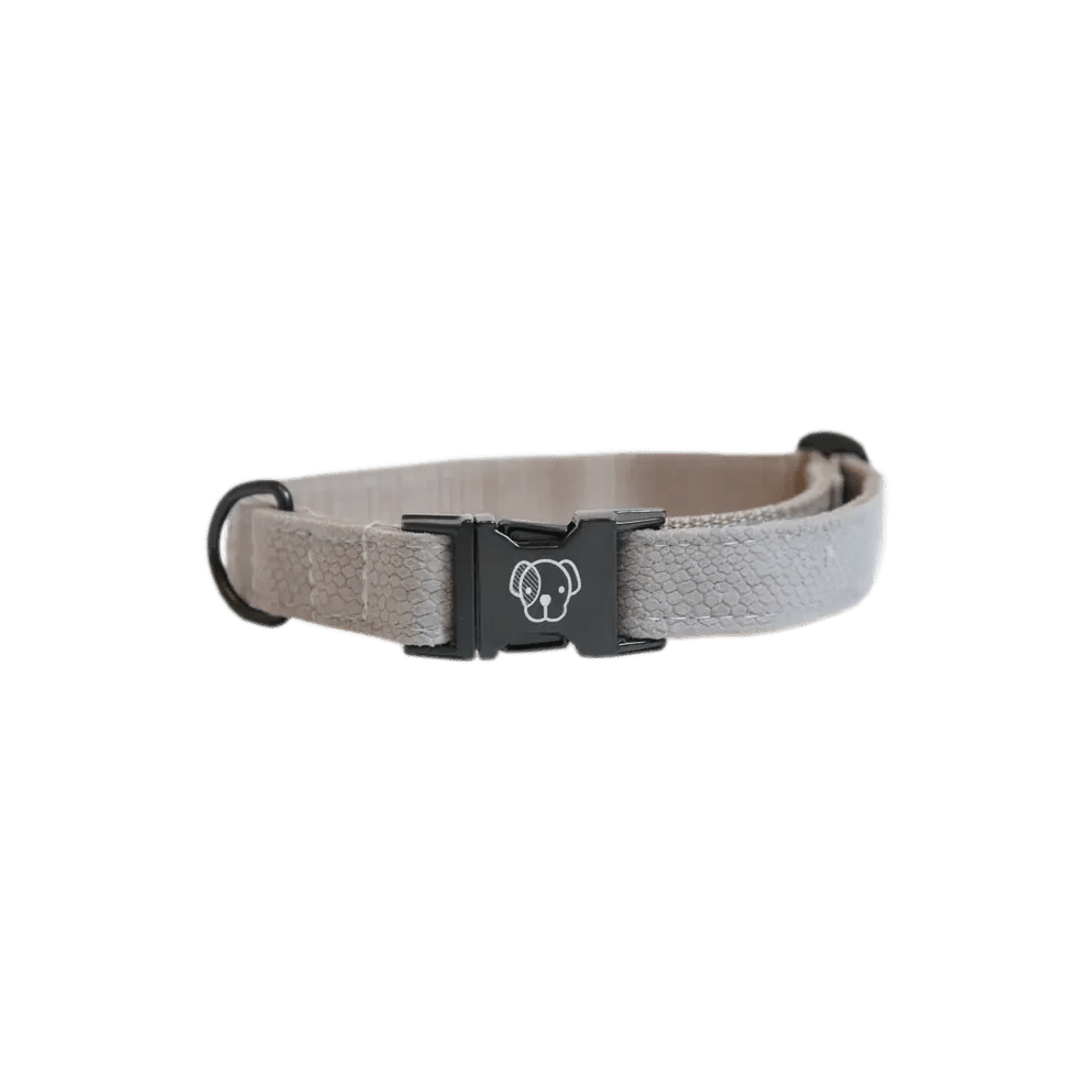 Kentucky Dog Collar Lizard - Løwenborg - Kentucky Dogwear