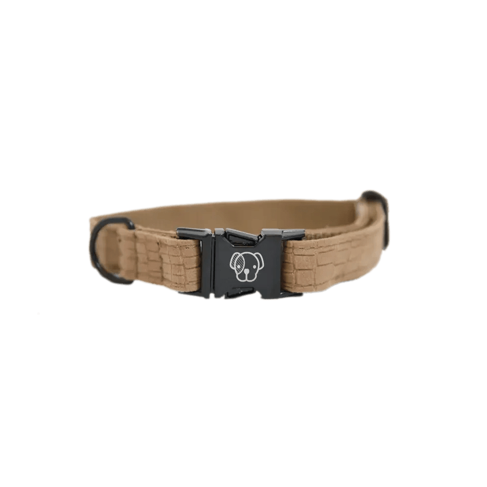 Kentucky Dog Collar Lizard - Løwenborg - Kentucky Dogwear