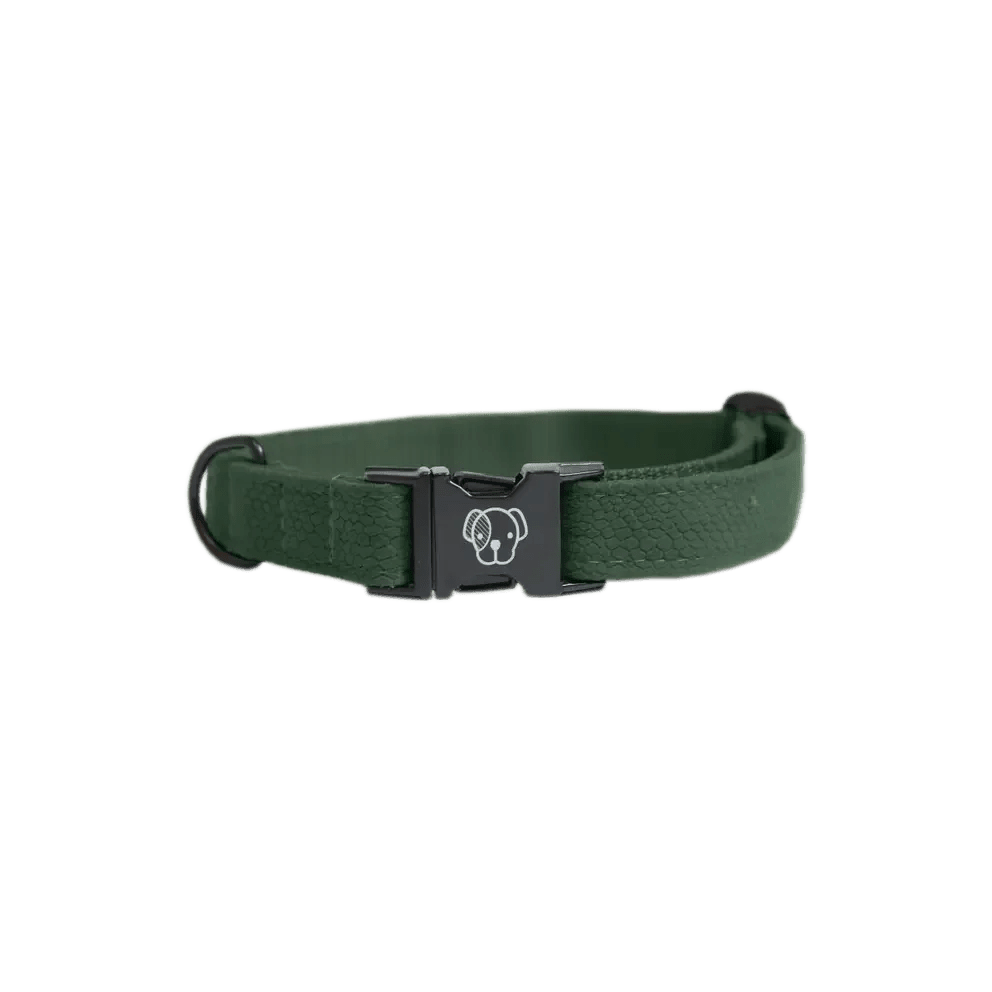 Kentucky Dog Collar Lizard - Løwenborg - Kentucky Dogwear