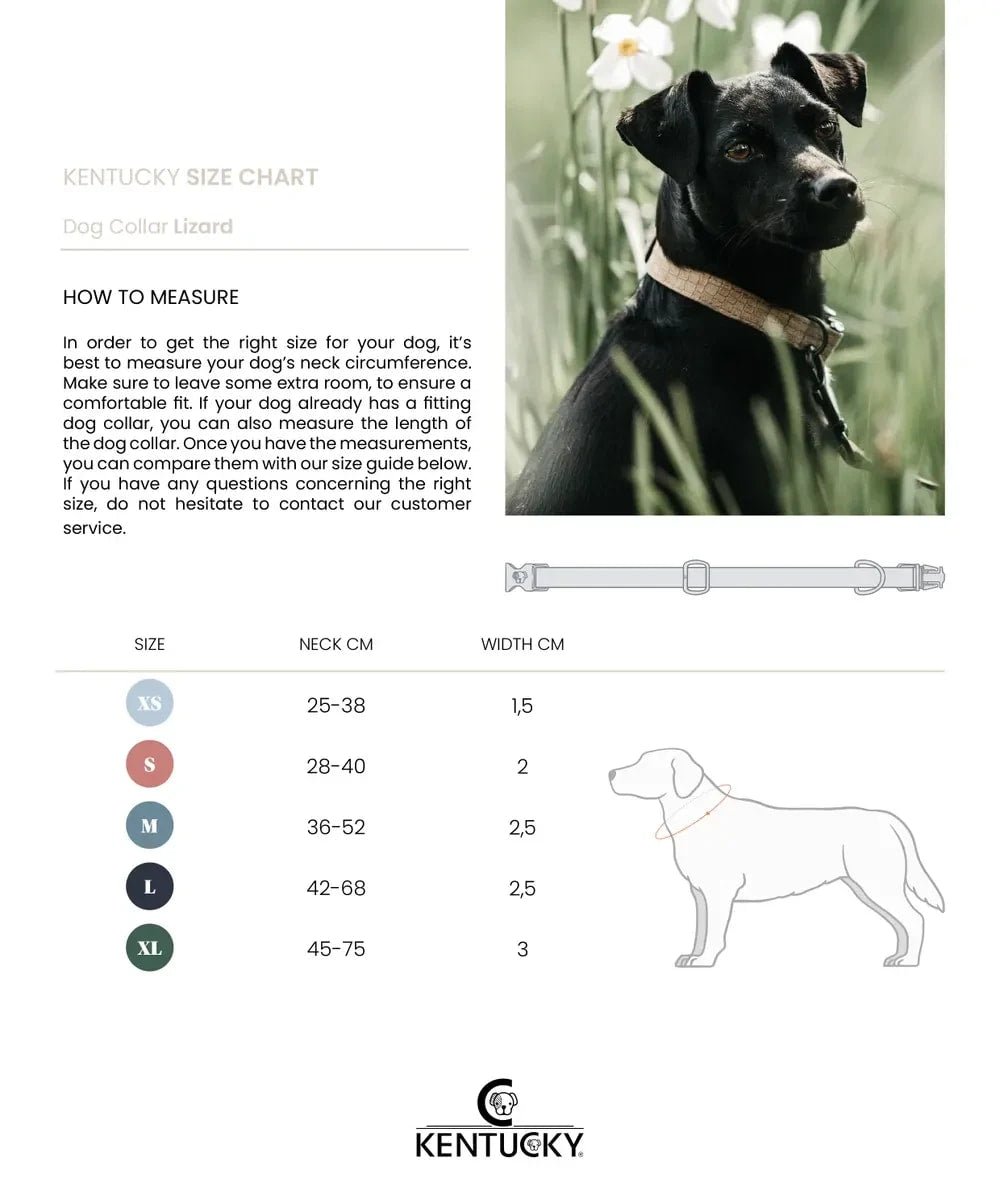 Kentucky Dog Collar Lizard - Løwenborg - Kentucky Dogwear