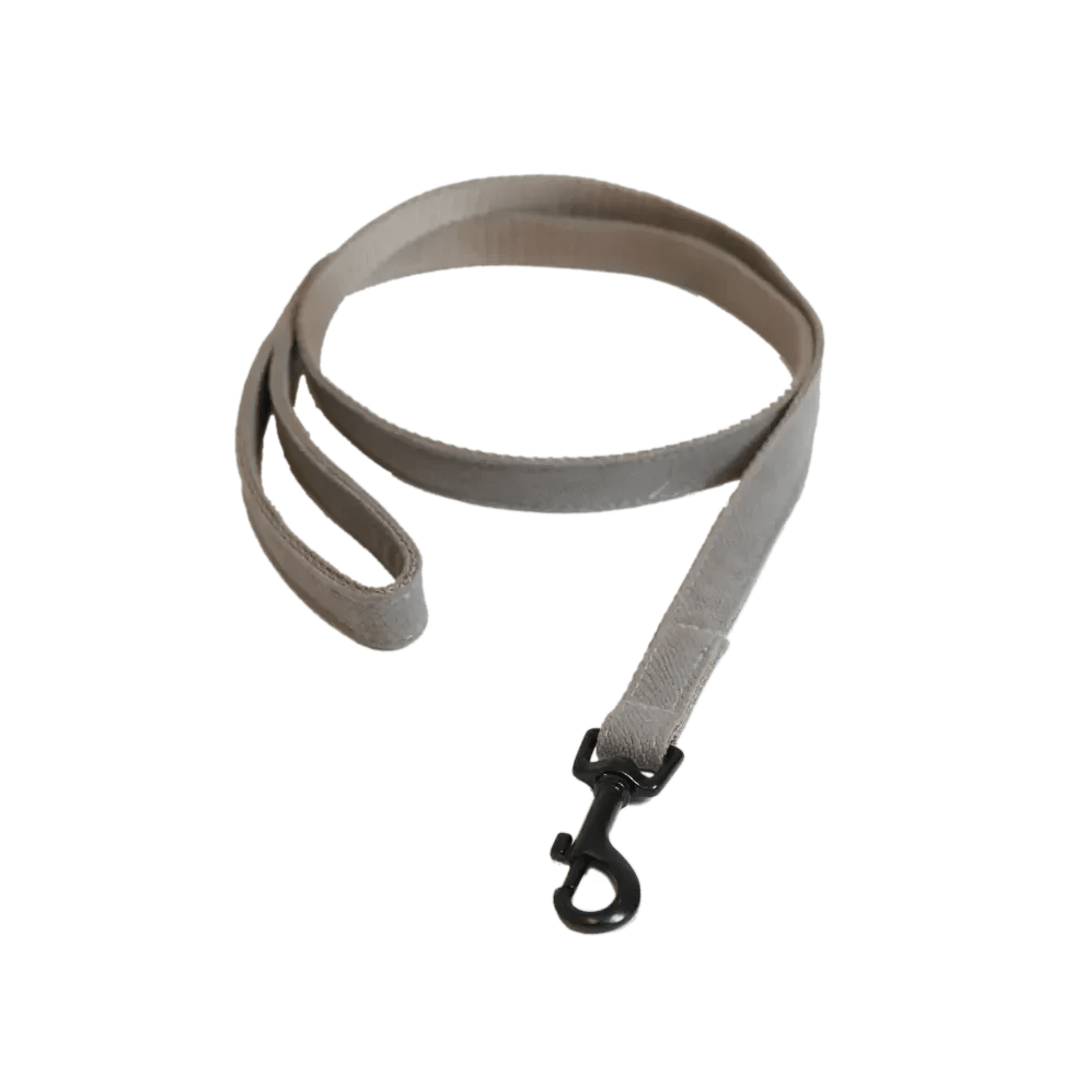 Kentucky Dog Lead Lizard - Løwenborg - Kentucky Dogwear
