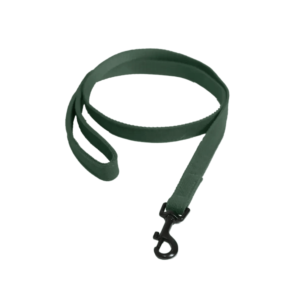Kentucky Dog Lead Lizard - Løwenborg - Kentucky Dogwear