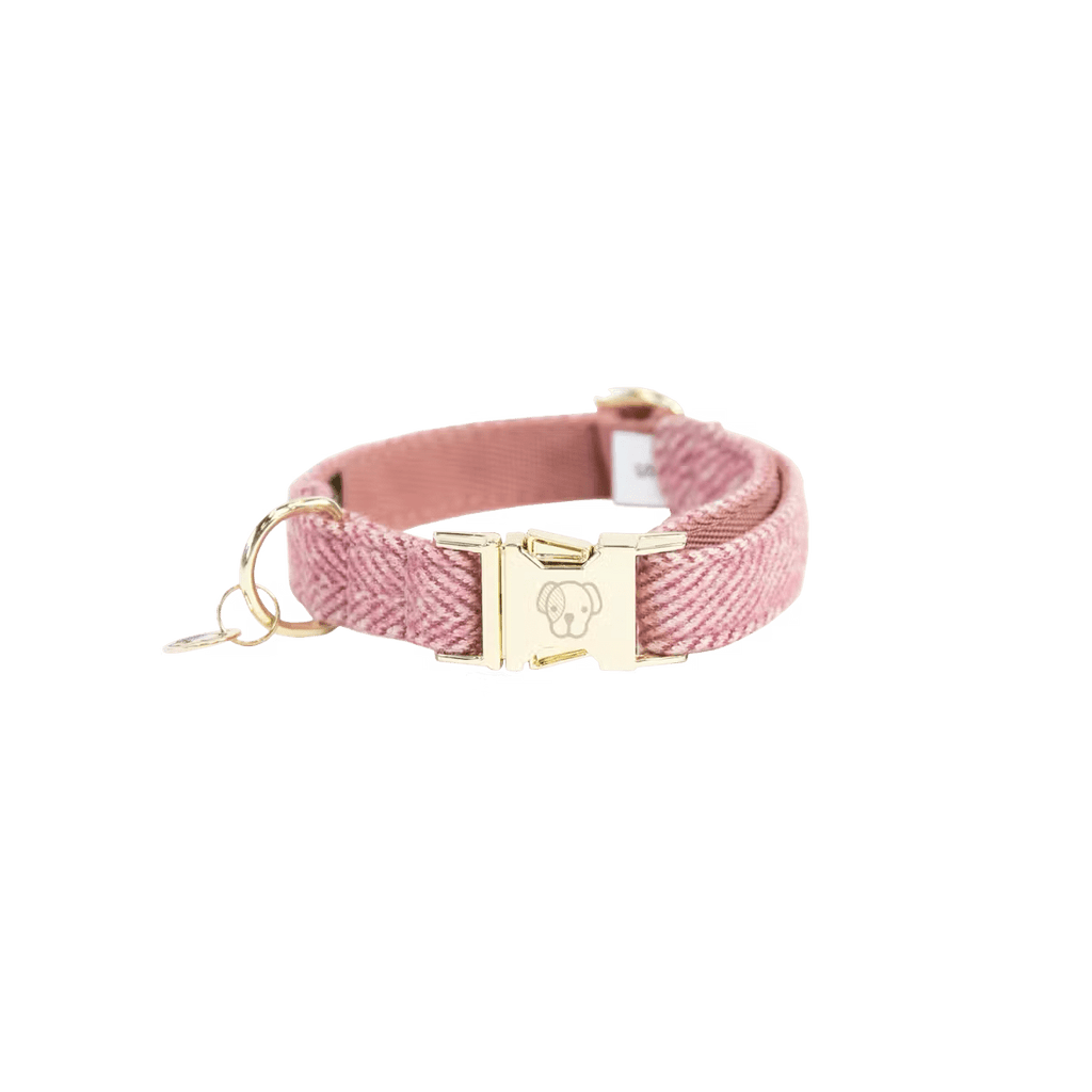 Kentucky Dog Collar Wool - Løwenborg - Kentucky Dogwear