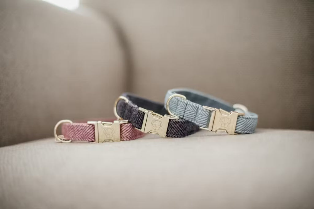 Kentucky Dog Collar Wool - Løwenborg - Kentucky Dogwear