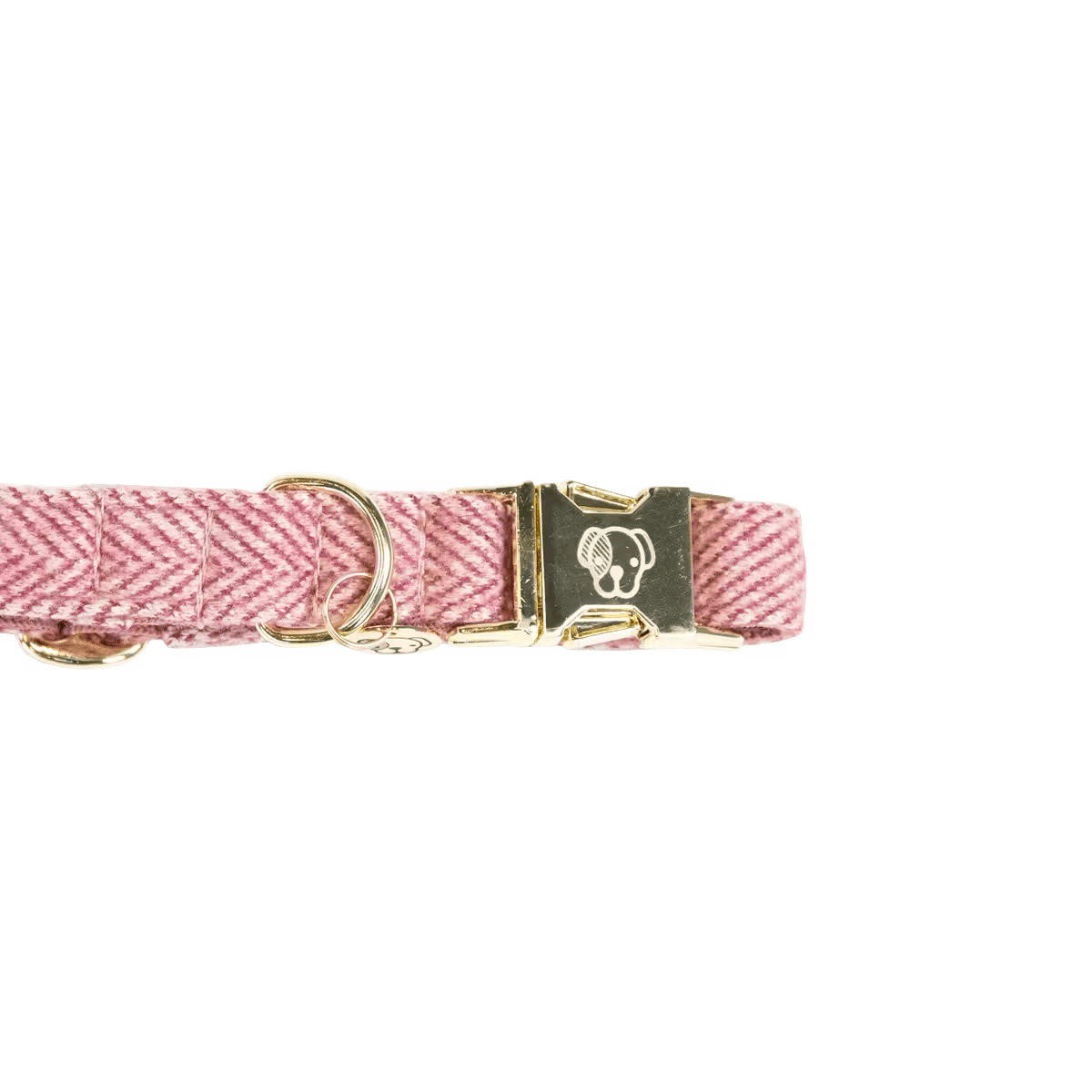 Kentucky Dog Collar Wool