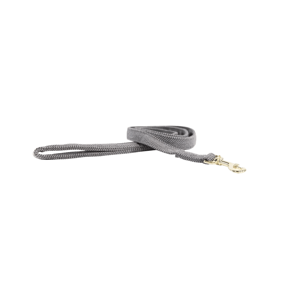 Kentucky Dog Lead Wool