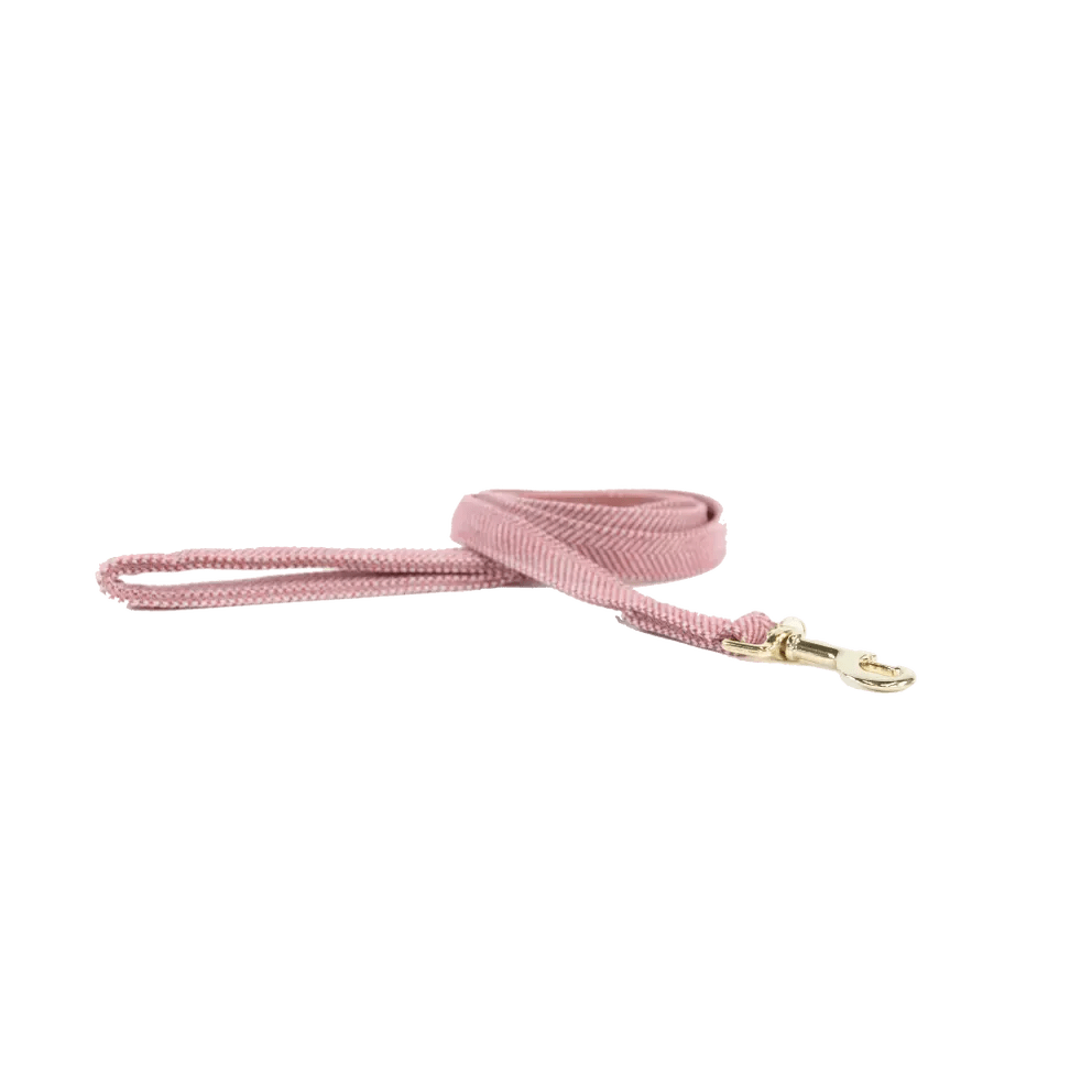 Kentucky Dog Lead Wool