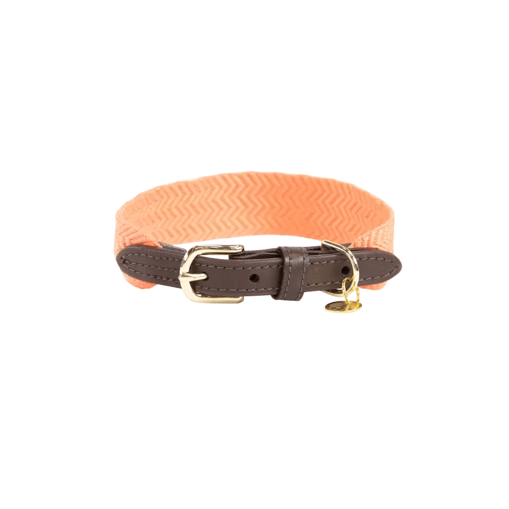 Kentucky Dog Collar Jacquard