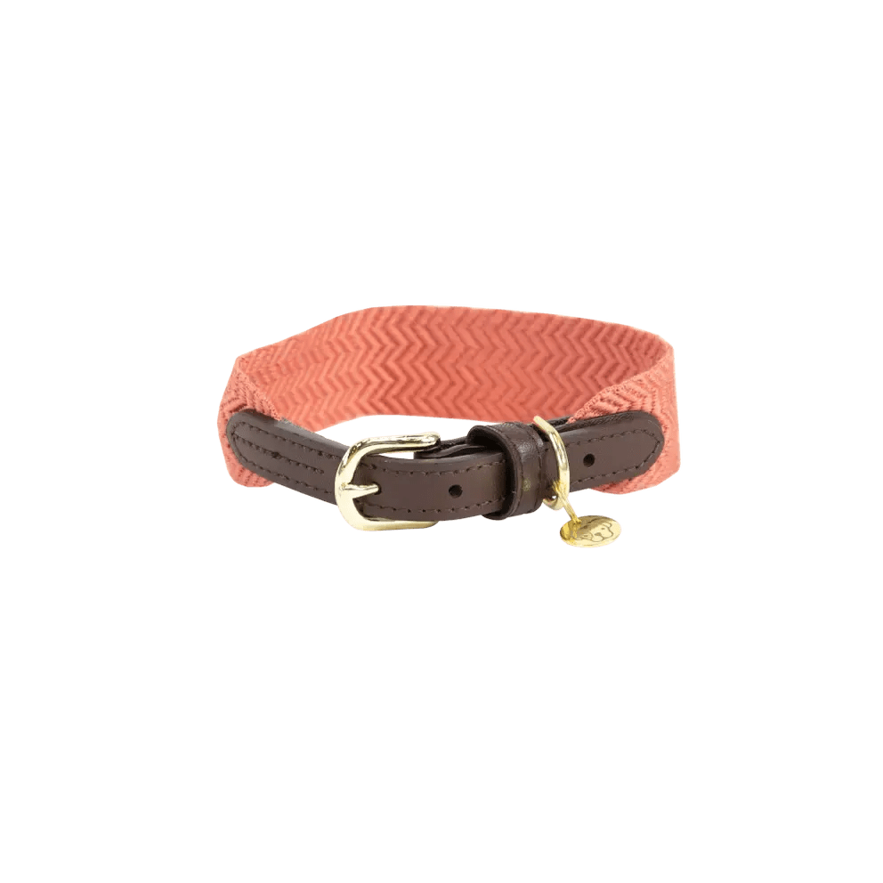 Kentucky Dog Collar Jacquard