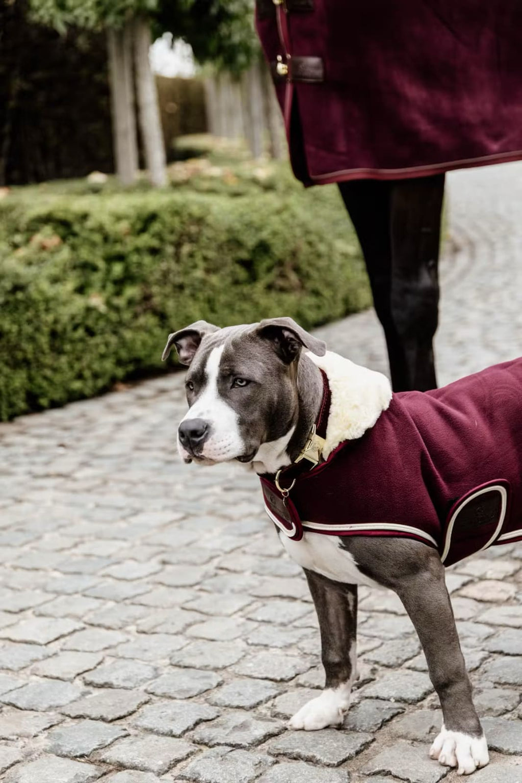 Kentucky Dog Coat Heavy Fleece - Løwenborg - Kentucky Dogwear