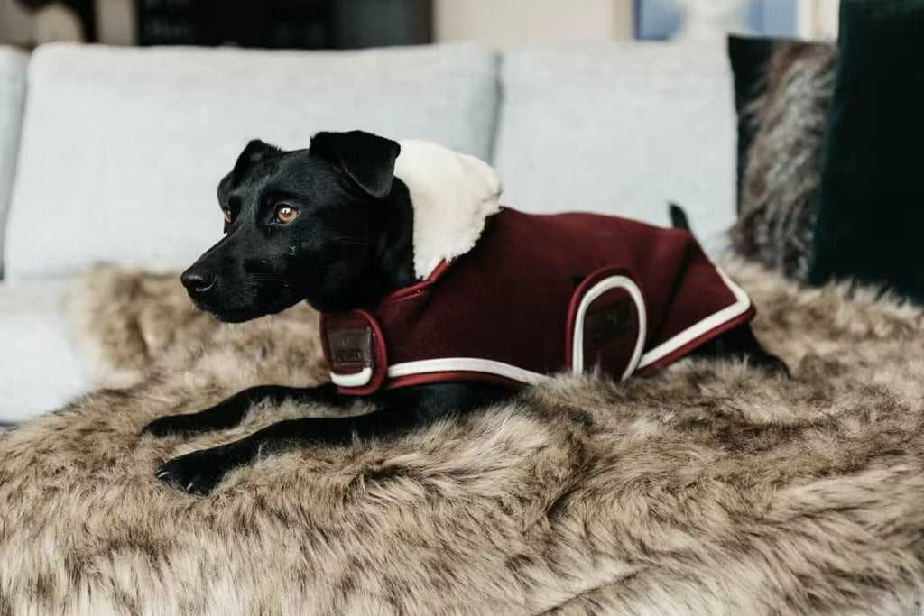 Kentucky Dog Coat Heavy Fleece - Løwenborg - Kentucky Dogwear