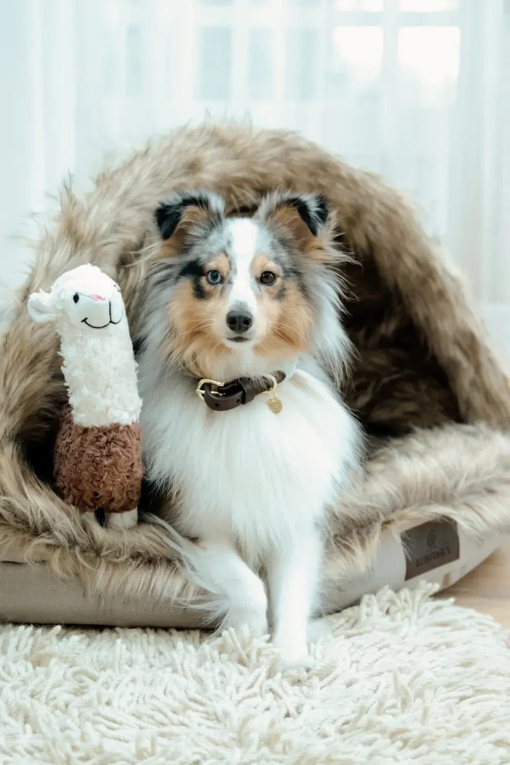 Kentucky Dog Soft Toy Alpaca - Løwenborg - Kentucky Dogwear