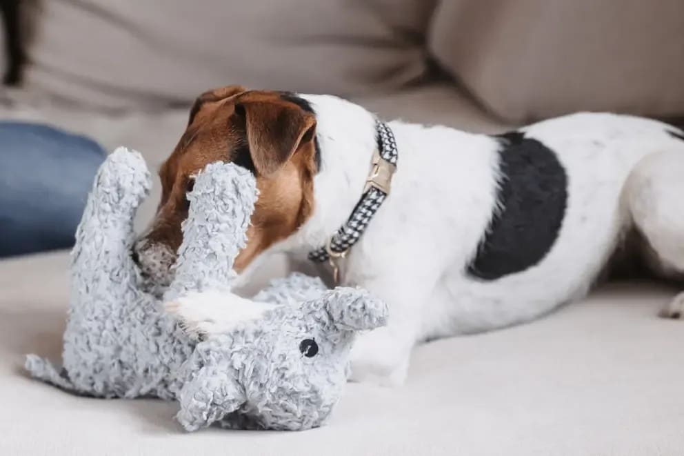 Kentucky Dog Soft Toy Elephant - Løwenborg - Kentucky Dogwear