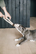 Kentucky Dog Toy Cotton Rope 8 Loop - Løwenborg - Kentucky Dogwear