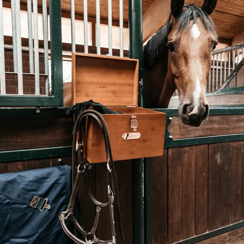 Grooming Deluxe Stable Tack Box - Løwenborg - Grooming Deluxe