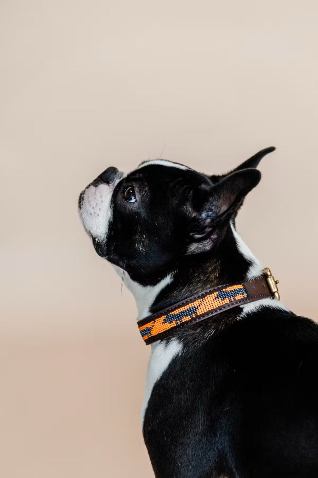 Kentucky Dog Collar Handmade Pearls - Løwenborg - Kentucky Dogwear