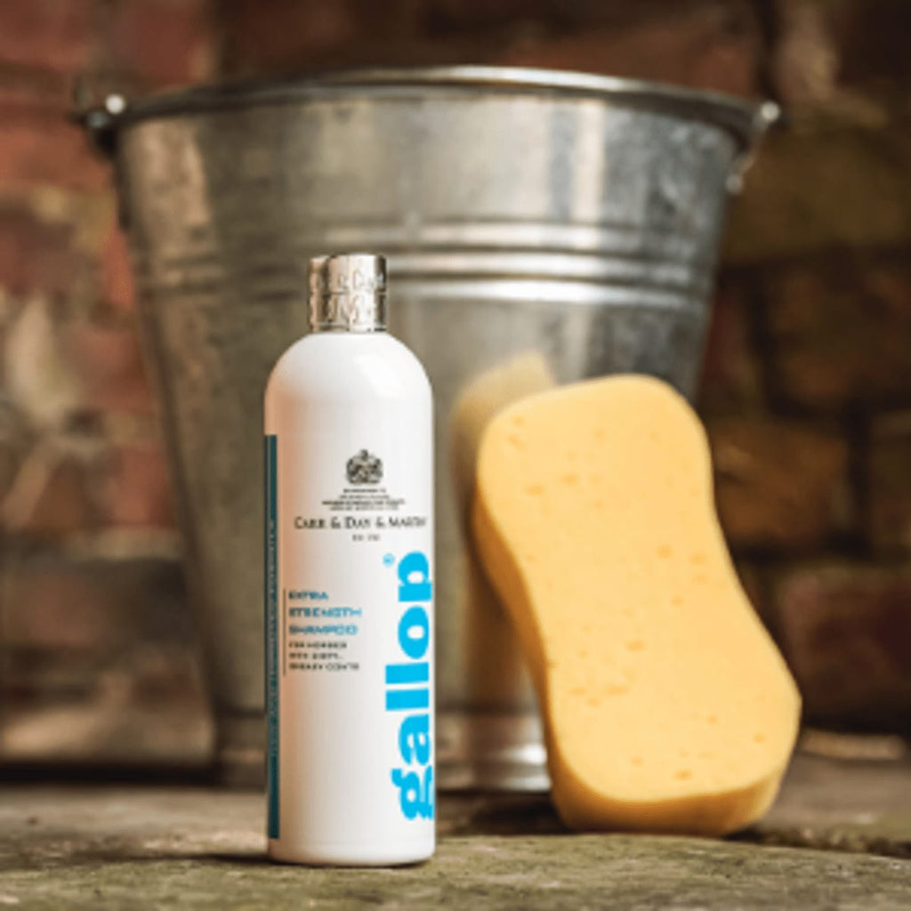 CDM Gallop Extra Strength Shampoo - Løwenborg - Carr & Day & Martin