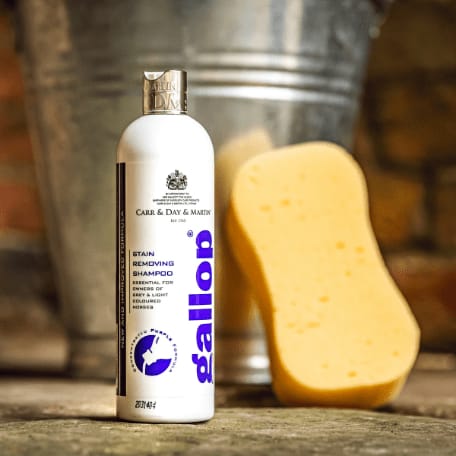 CDM Gallop Stain Removing Shampoo - Løwenborg - Carr & Day & Martin