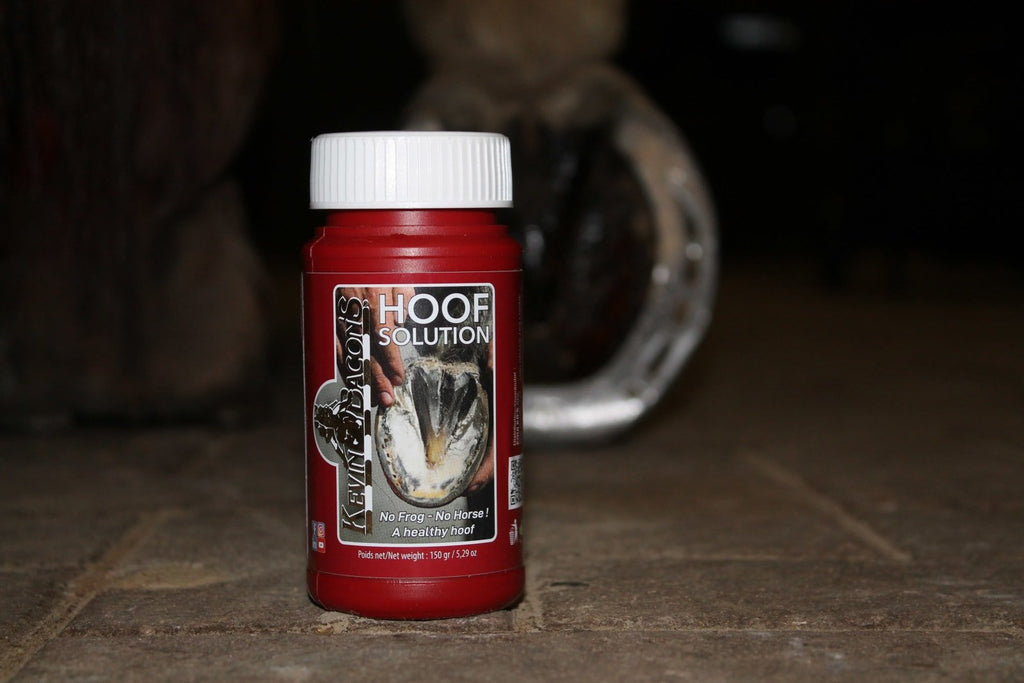 Kevin Bacon Hoof Solution - Løwenborg - Kevin Bacons