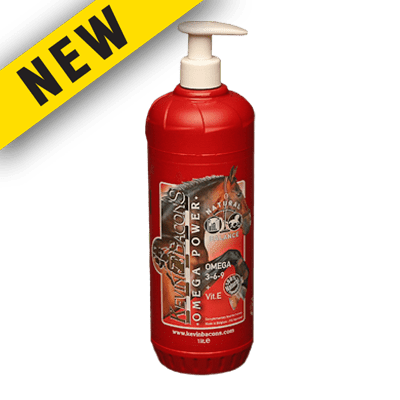 Kevin Bacon Omega Power