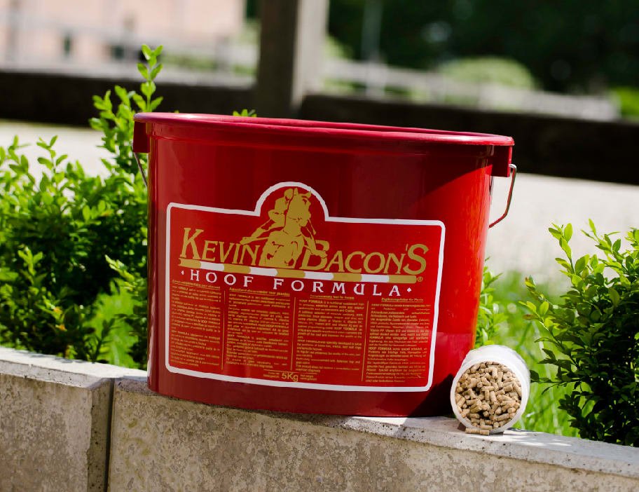 Kevin Bacon Hoof Formula - Løwenborg - Kevin Bacons