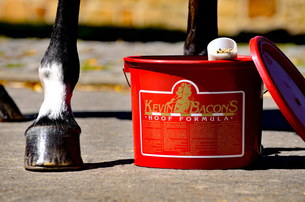 Kevin Bacon Hoof Formula - Løwenborg - Kevin Bacons