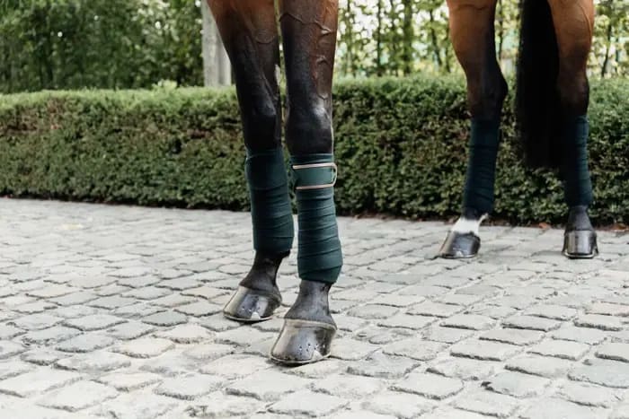 Kentucky Polar Fleece Bandage - Løwenborg - Kentucky Horsewear